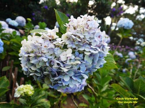 12241586_979136572152404_2019792705877917695_n