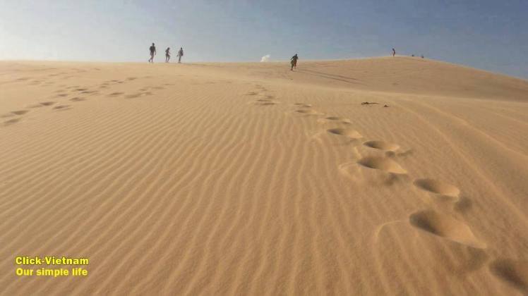 12509220_1105472809464124_3481714560788630193_n