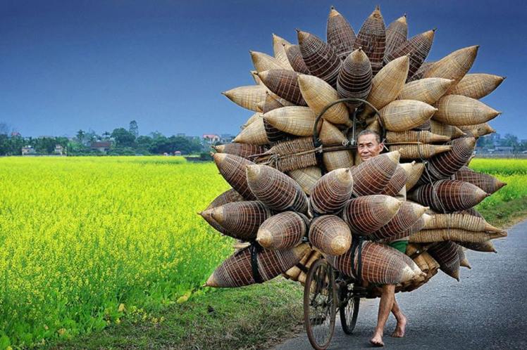 943933_1005599709506090_6298378311807802716_n