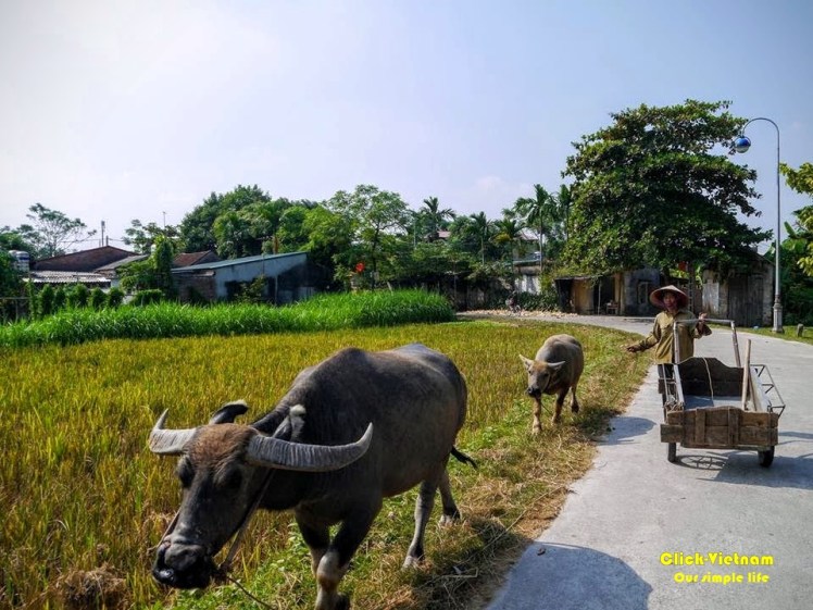 10454458_872920212719386_8561972725530077423_n (1)