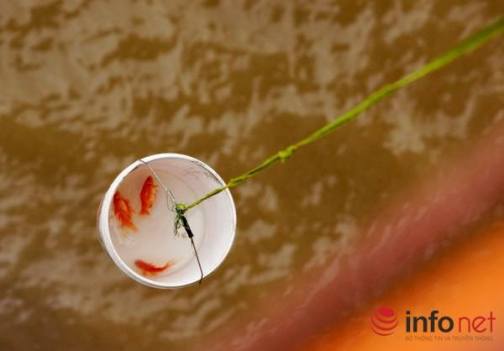 12670276_1120011611343577_3082882839233654864_n