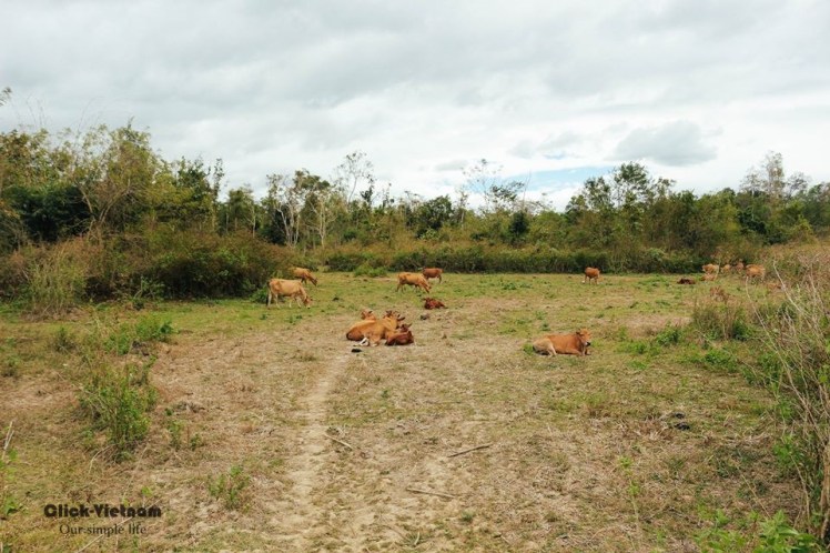 12472704_979401675477452_4834326381135497214_n