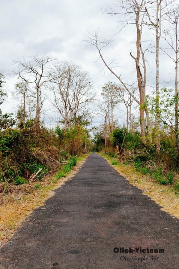 12890876_979401678810785_3389751305122380524_o