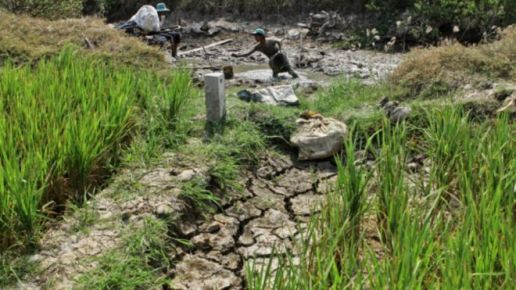 160315211642_vietnam_drought_640x360_afp_nocredit