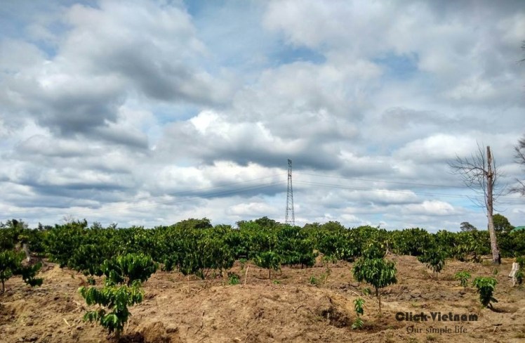 1935217_978590352225251_8900133864390638773_n