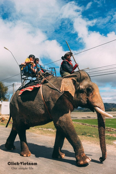 12719183_978590288891924_1842765329834303996_o